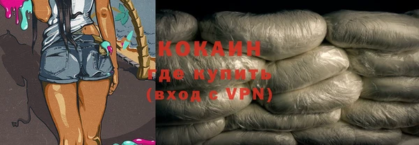 PSILOCYBIN Кулебаки