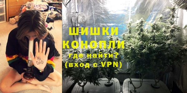 крисы Куйбышев