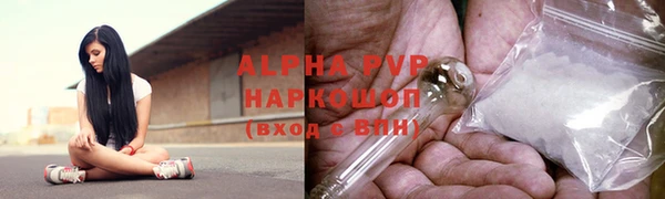PSILOCYBIN Кулебаки