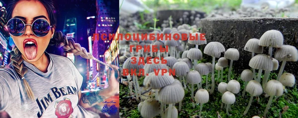PSILOCYBIN Кулебаки