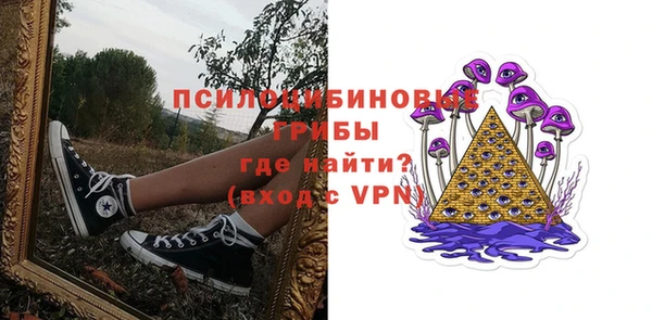 крисы Куйбышев