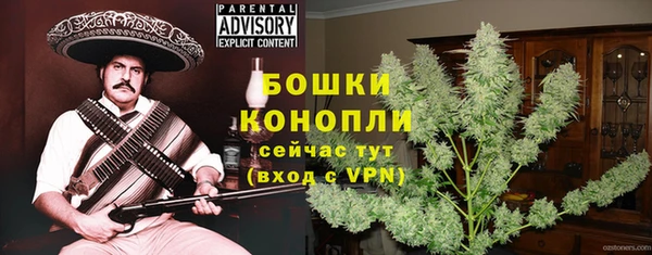 PSILOCYBIN Кулебаки
