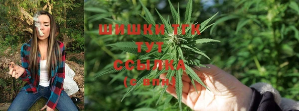 крисы Куйбышев