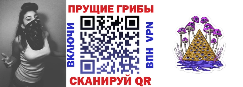 блэк спрут ссылки  Сураж  Псилоцибиновые грибы прущие грибы 